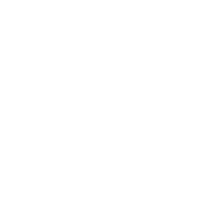 50 Years Badge
