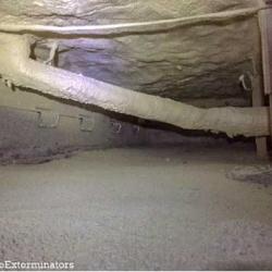 crawl space with a rat slab