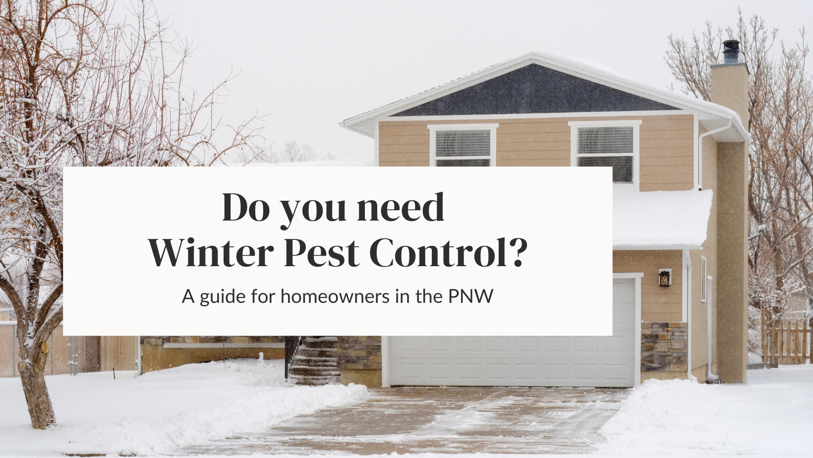 Header Image - Do you need winter pest control, a guide for homeowners in the PNW