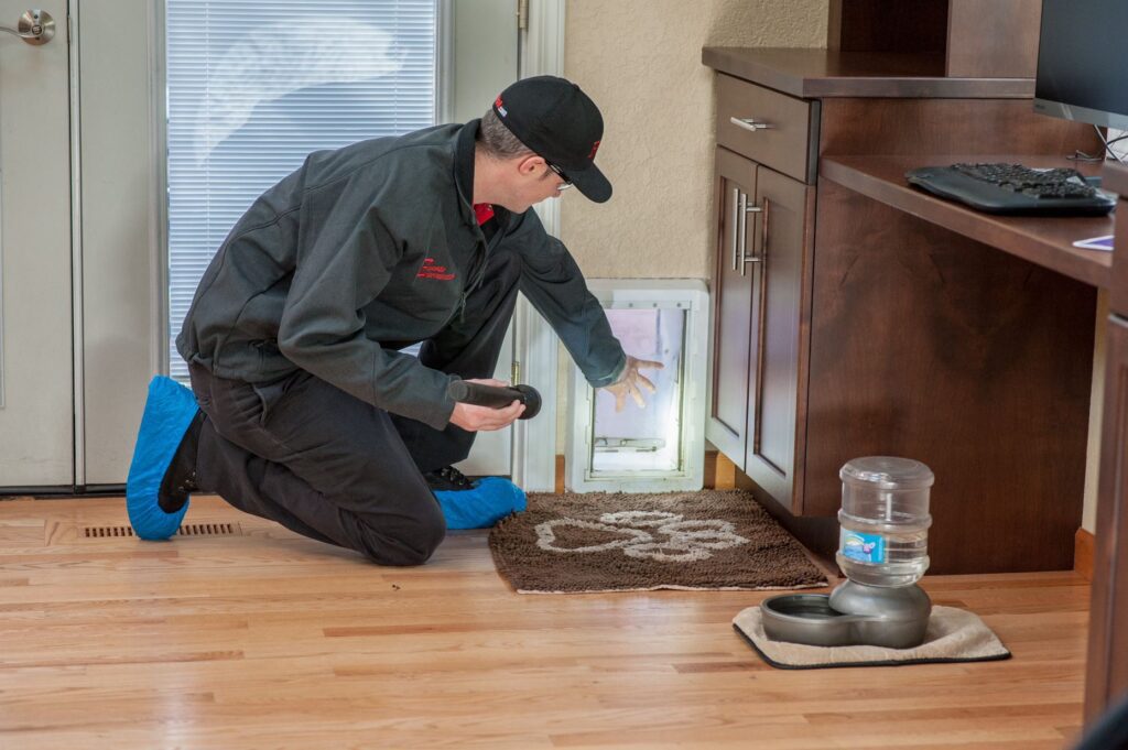 Pest control operator inspection kitchen