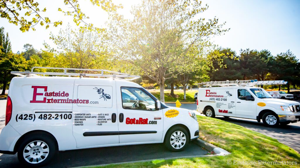 A decorative image of multiple commercial pest control vehicles on a sunny day