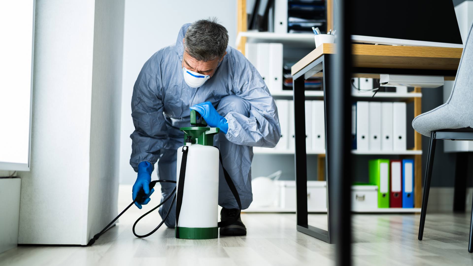 An exterminator sprays for ant infestations in an office.