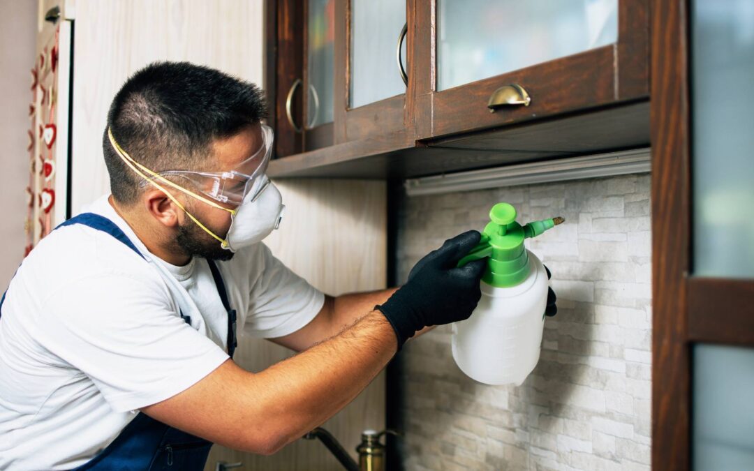 How Homeowners Can Handle Active Pest Issues Like a Pro