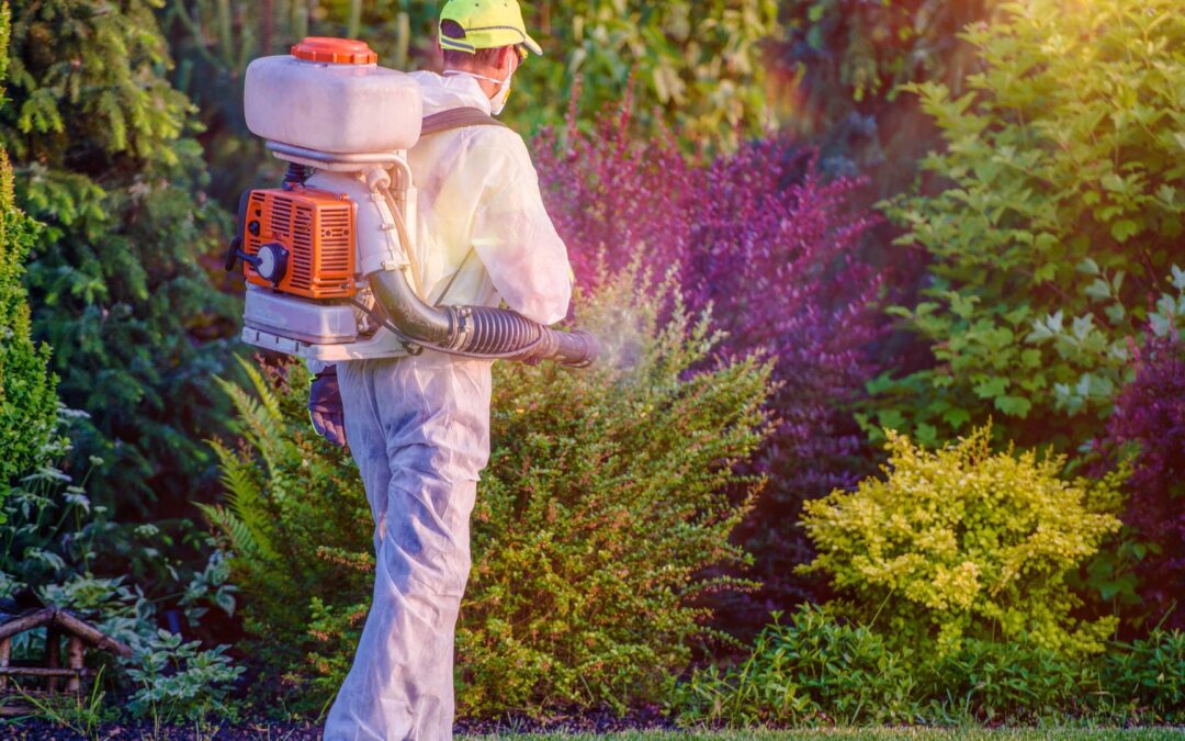 What are the most common pest control options?