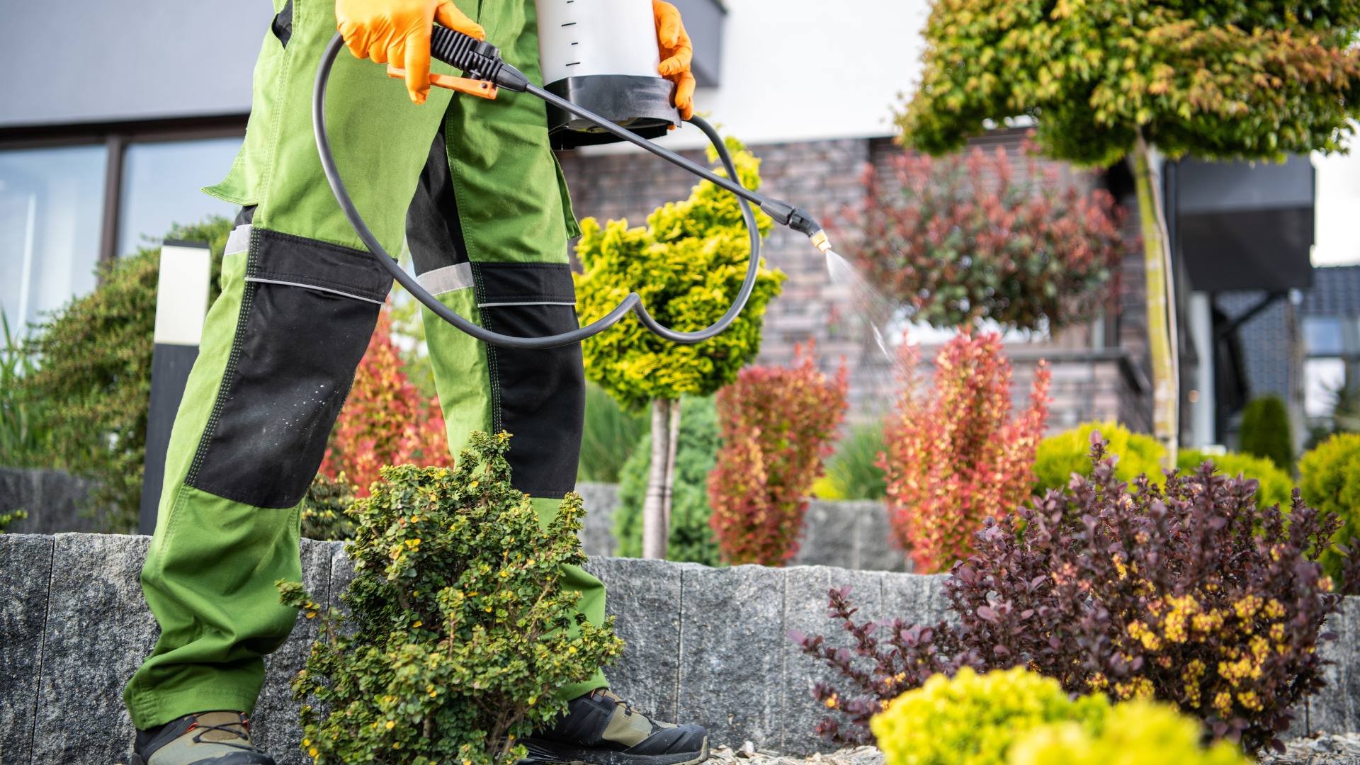 An exterminator works outside in a garden to remove rodent health hazards and complete pest control.