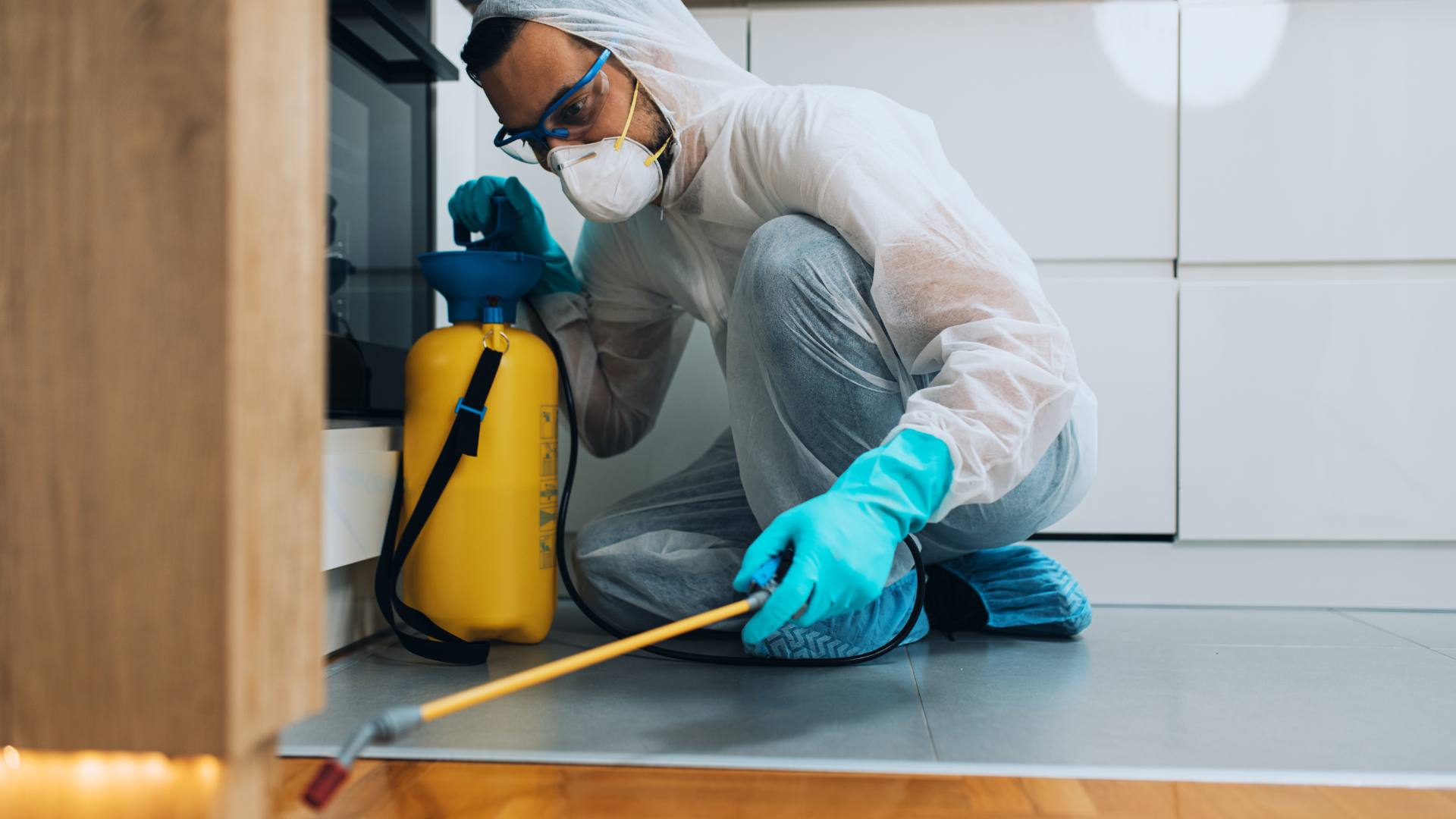 An exterminator demonstrates rodent control.