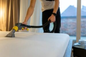 Technician treating bed bugs on mattress.