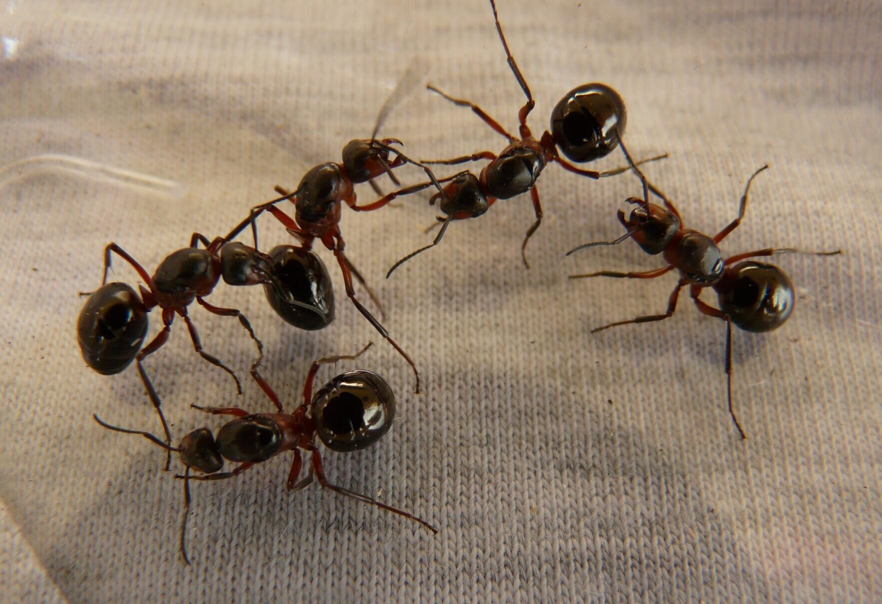 ge3dd29e8239a819e5c5b130c602258a1545089366d23c6e8dd6094b807ec1e24ef17709ac8e5a16298d9b85a4c64a0fd