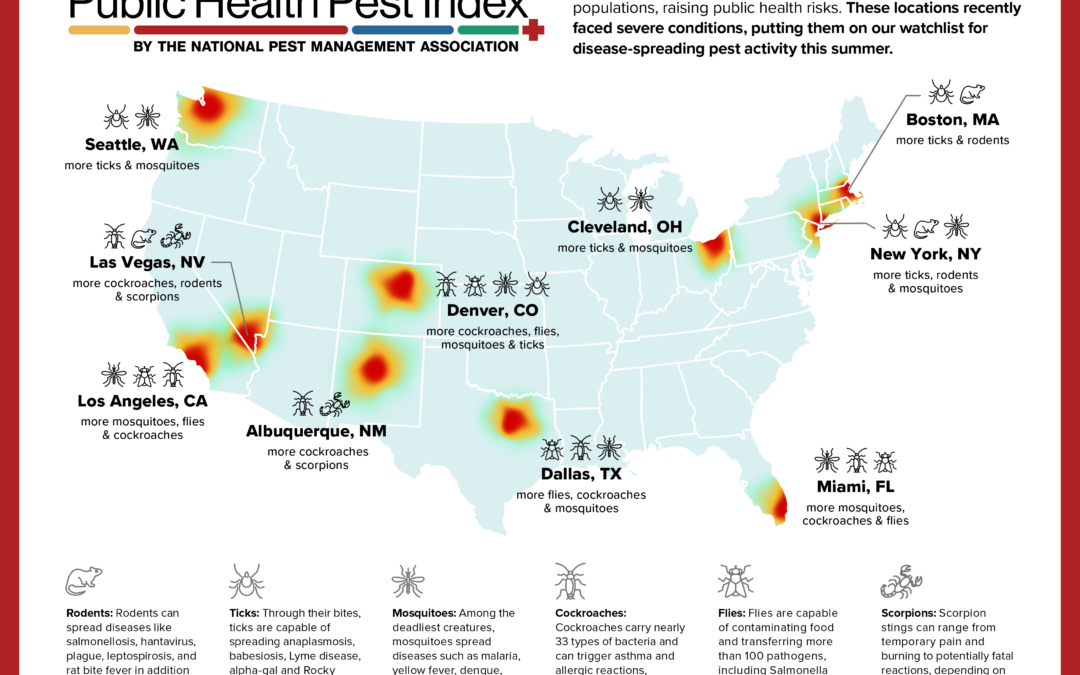 Should You Be Worried About Hantavirus in WA State?