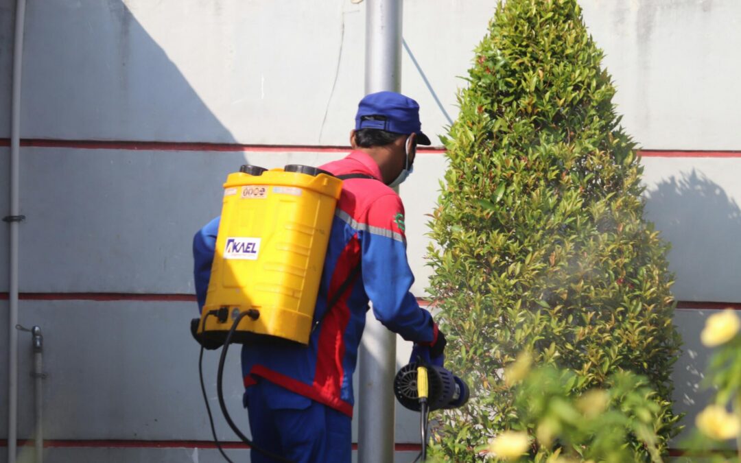 The Difference Between Reactive and Preventive Pest Management